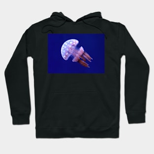 Floating Jelly Fish on Blue Hoodie